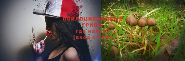 трава Майский
