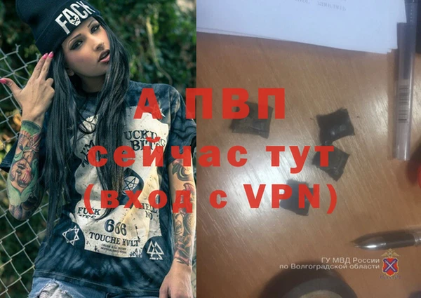 трава Майский
